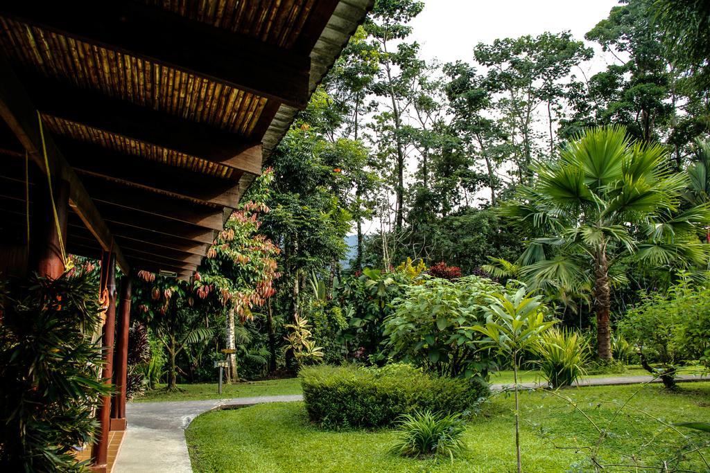 Catarata Eco Lodge La Fortuna Exterior foto