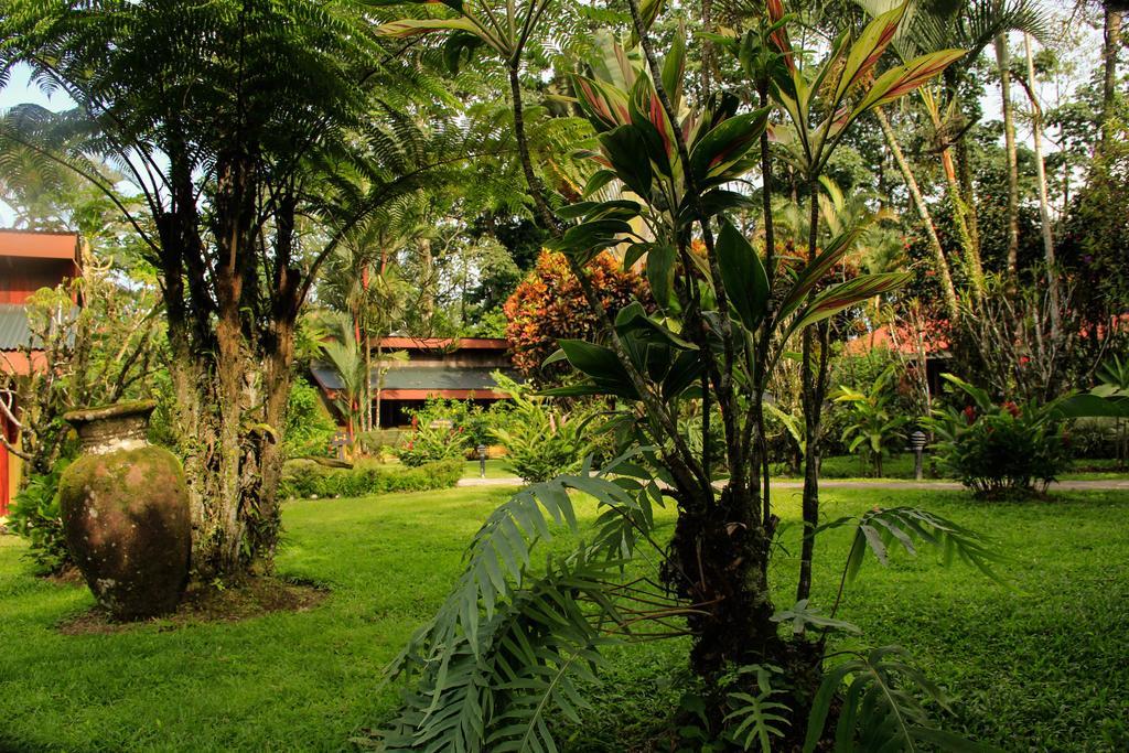 Catarata Eco Lodge La Fortuna Exterior foto